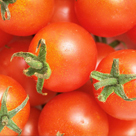 婚活　パーティー　イベント　合コン　飲み会　出会い