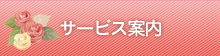 クオーレ結婚相談所　無料個別ご相談予約　申し込み