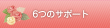 クオーレ結婚相談所　サービス内容