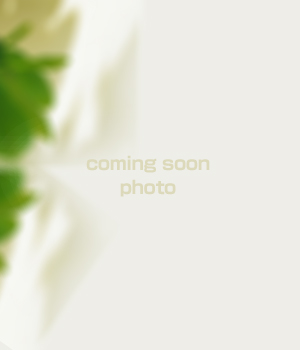 無料相談　結婚相談所　サロン　婚